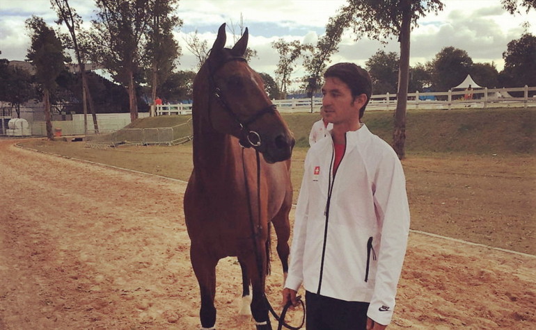 All swiss horses passed successfully the Vet Check!